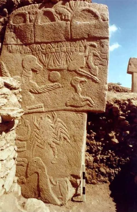 People could get satisfyingly drunk now and thus creative; witness the carvings on the rocks in Göbekli Tepe: Statue (possibly "the oldest") and carvings on Göbekli Tepe …